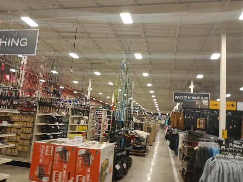 TCG Shops in Georgia | KeepUp